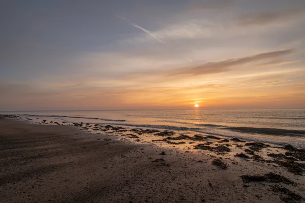 Sun setting over a calm sea with seaweed-strewn sand on a quiet beach at dusk