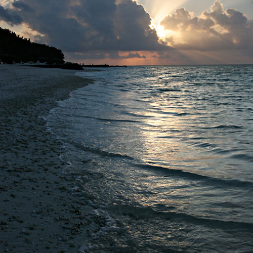 Evening Sun, Lilly Beach Island: Evening Sun, Lilly Beach Island