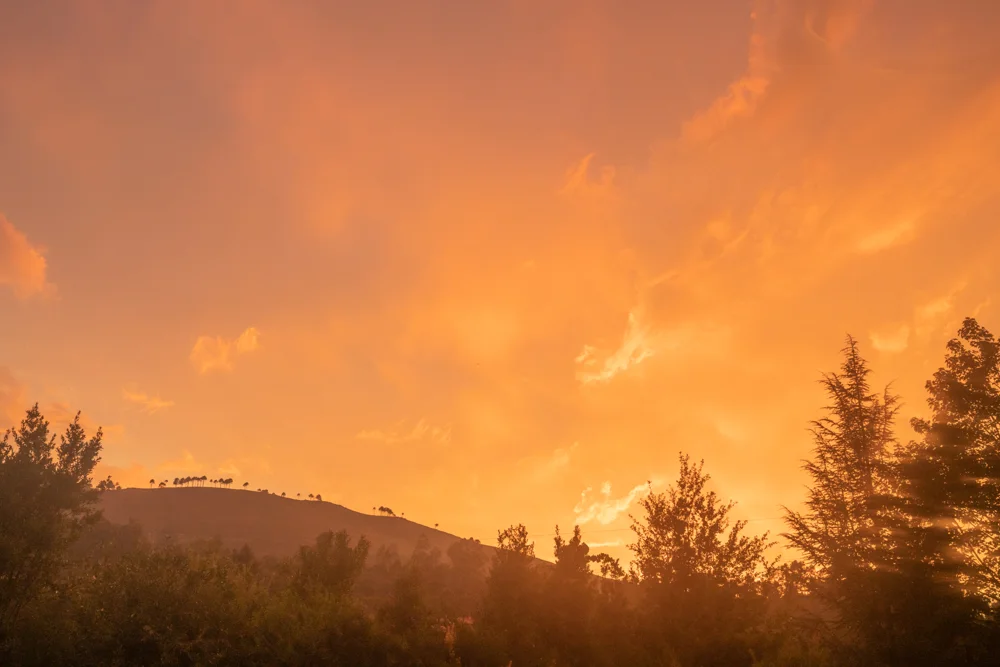 Hilltop trees silhouetted against a fiery orange sunset sky over rolling countryside