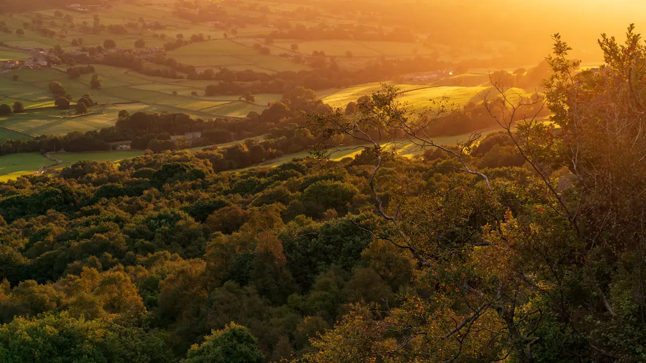 Sunlit landscape with rolling fields and patches of lush green trees under an orange-hued sky. The foreground features dense foliage, while the background showcases a patchwork of pastures and scattered trees, all bathed in the warm glow of sunset.