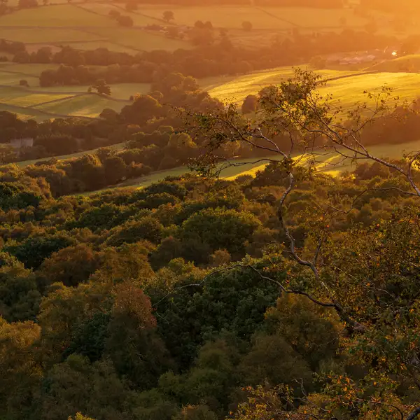 Approaching autumn