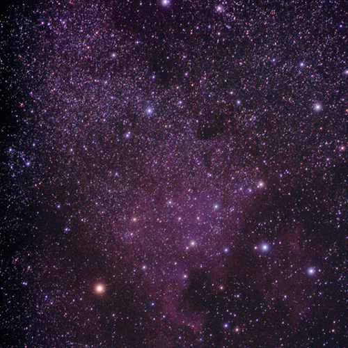 North American Nebular: North American Nebular