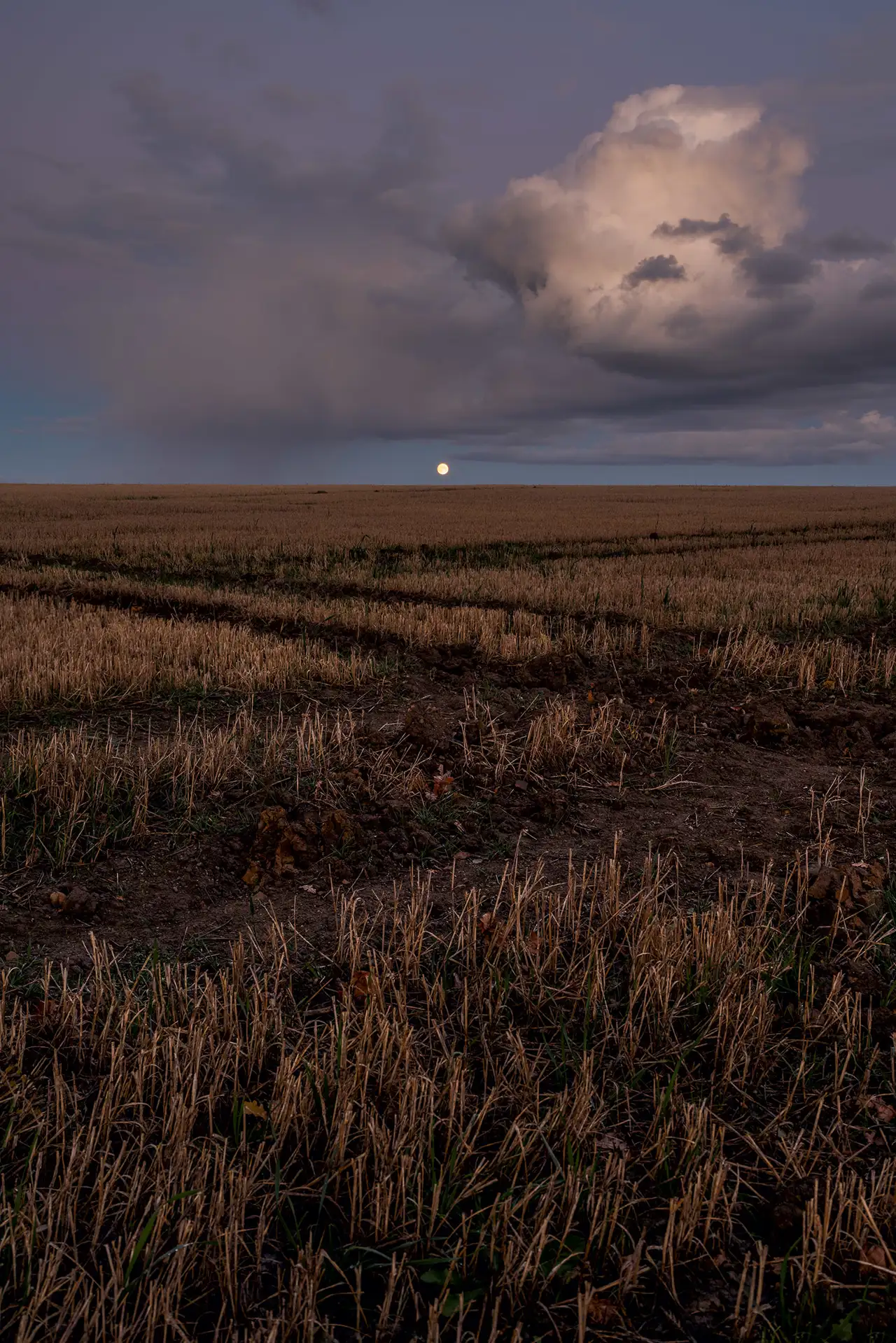 Field with dry stubble in the foreground under a dusky purple sky. A nearly full moon is visible near the horizon, partially obscured by dramatic, illuminated clouds. Tracks cut through the field, leading towards the horizon.