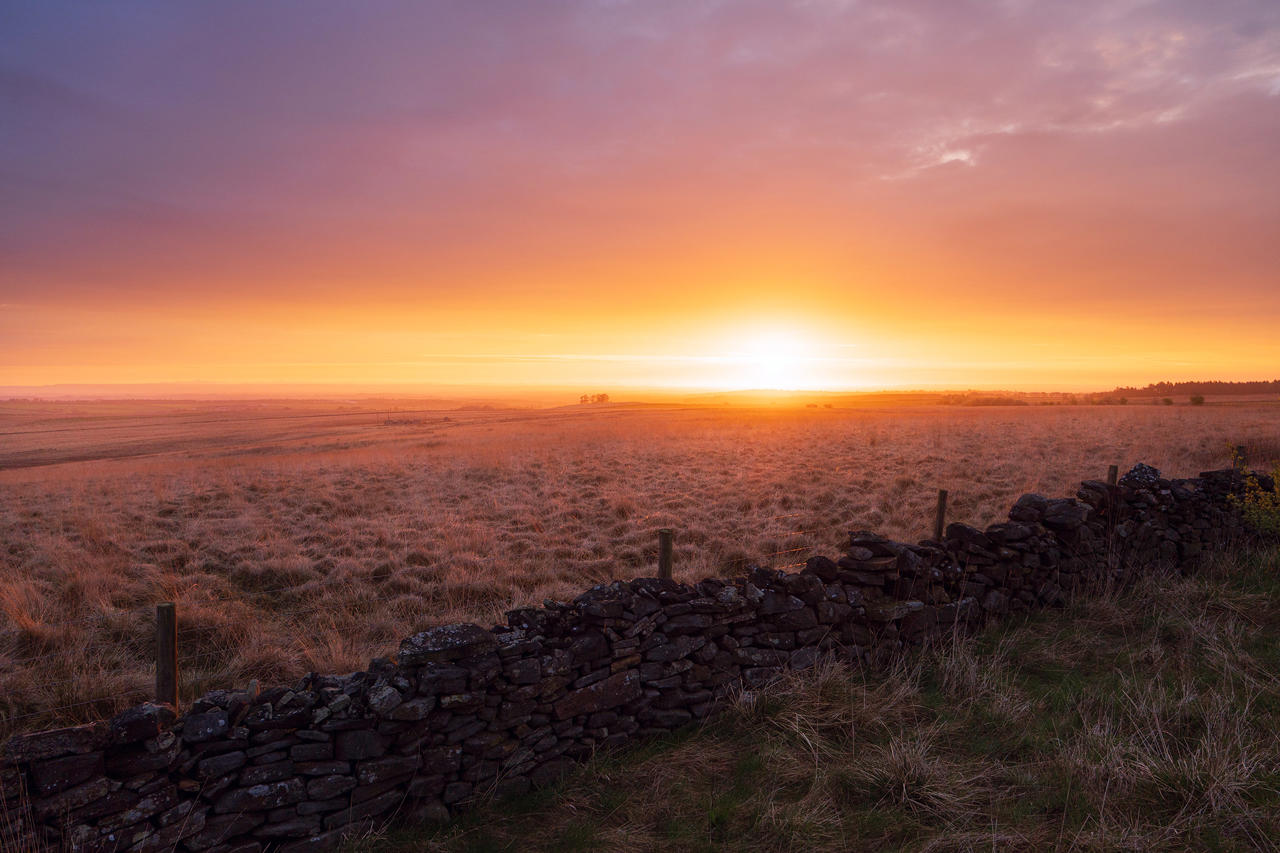 Sunset over a grassy field with warm orange and pink hues lighting up the sky. A dry stone wall runs through the foreground, and in the distance, sparse trees dot the horizon.
