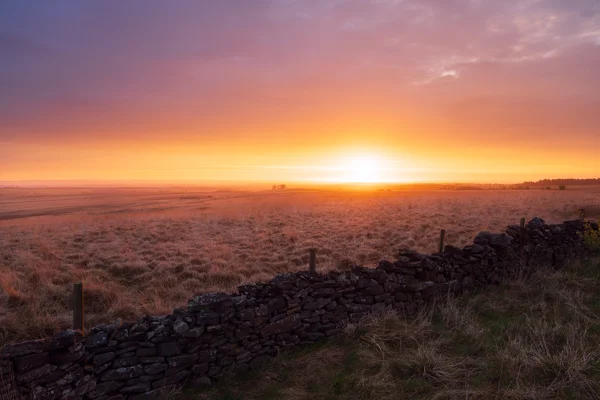 Sunset over a grassy field with warm orange and pink hues lighting up the sky. A dry stone wall runs through the foreground, and in the distance, sparse trees dot the horizon.