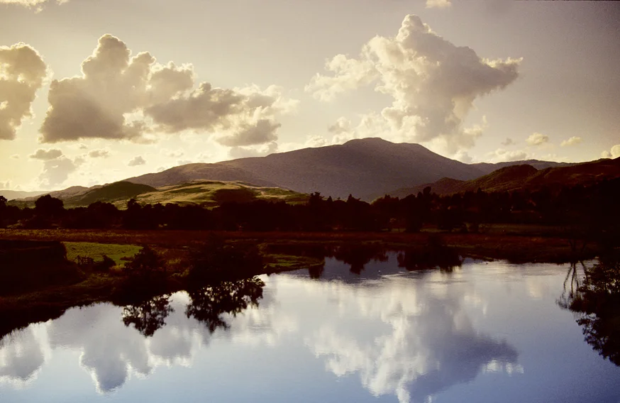 Reflections
