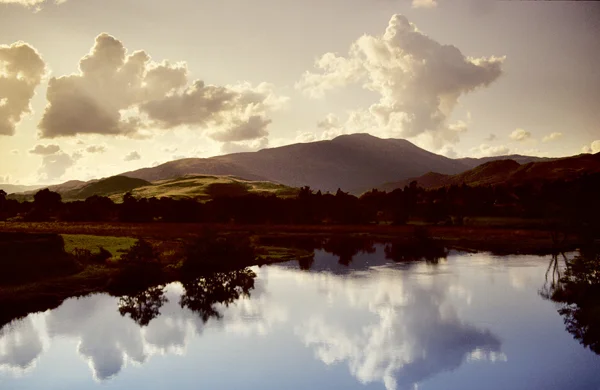 Reflections