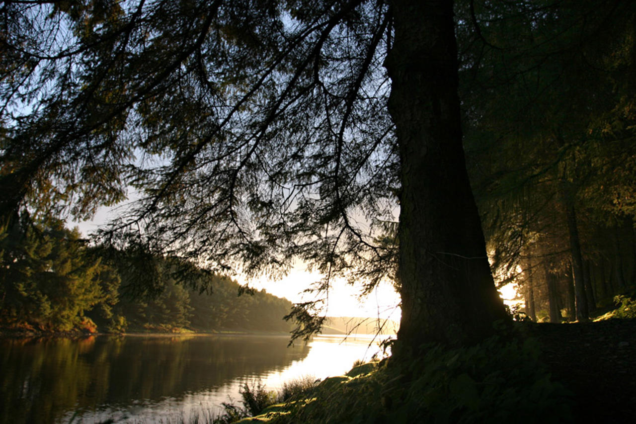 Sunrise, Thruscross reservoir