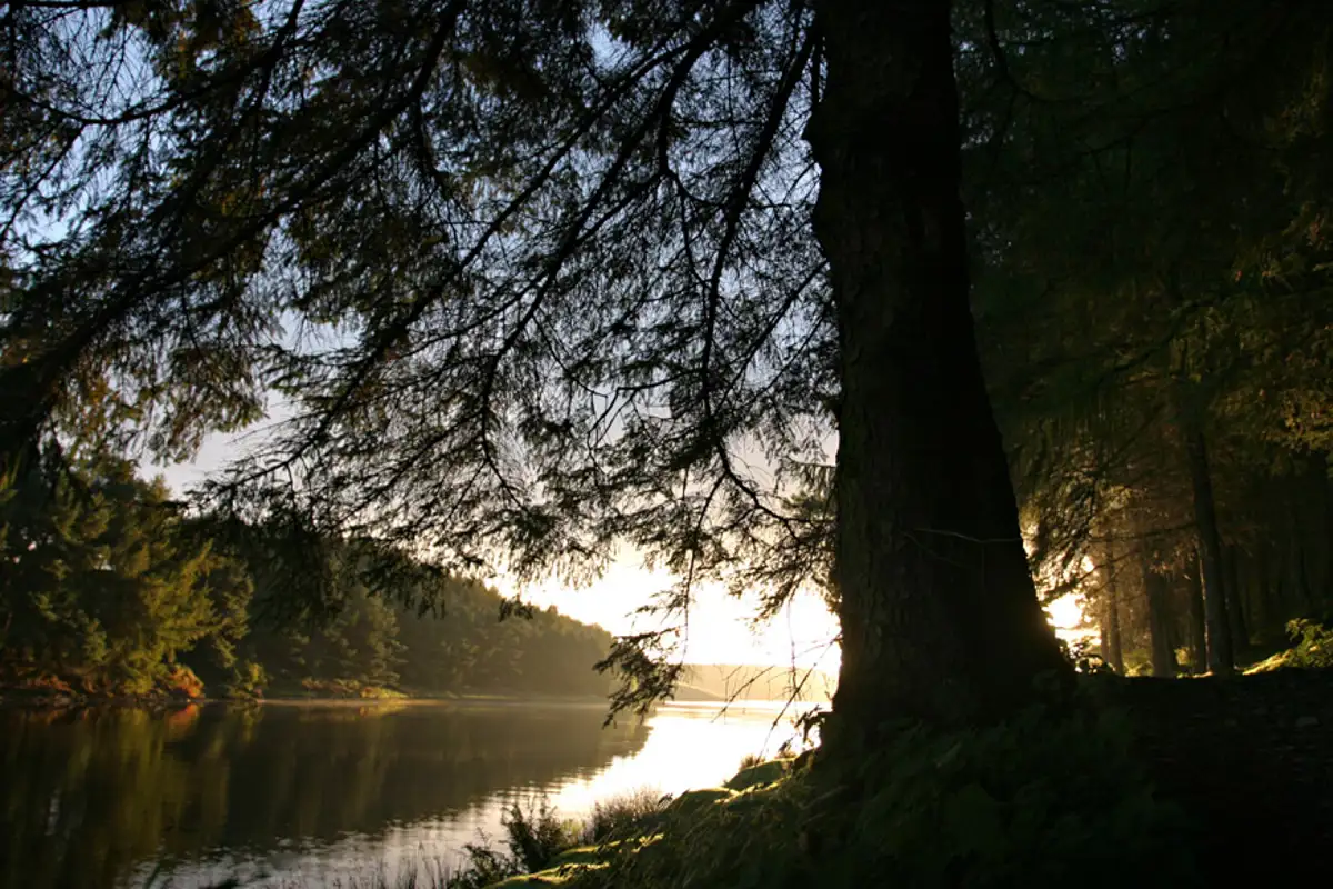 Sunrise, Thruscross reservoir