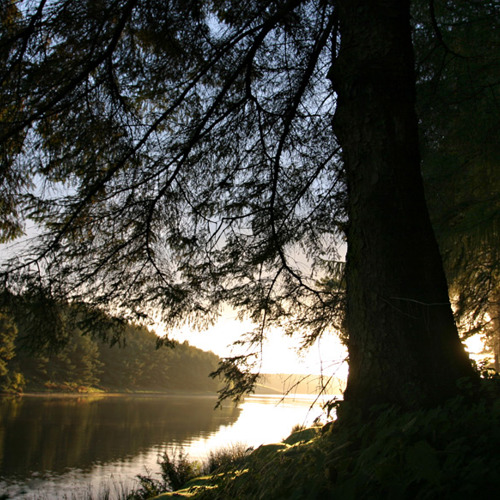 Sunrise, Thruscross reservoir: Sunrise, Thruscross reservoir