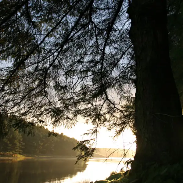 Sunrise, Thruscross reservoir