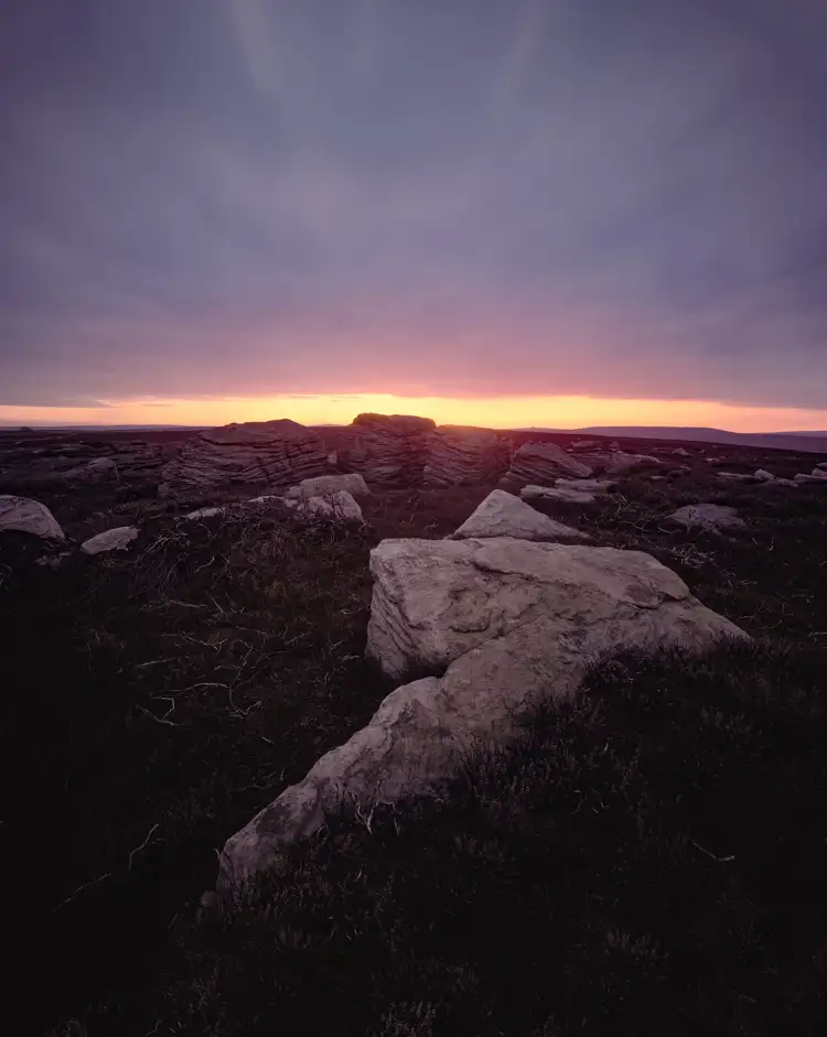 Moorland 8X10 March 2010