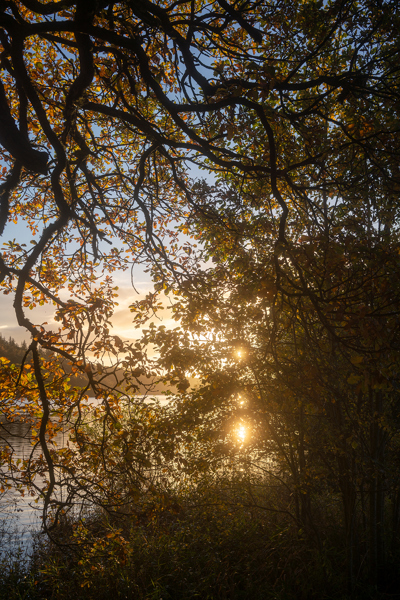 Fewston Autumn
