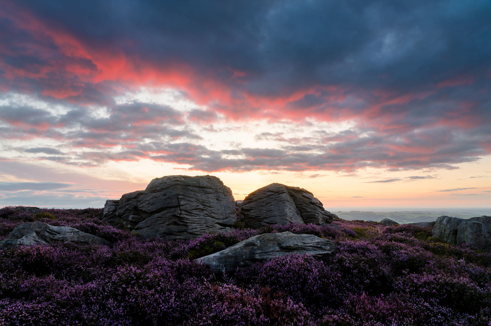 Dramatic sunset over a rocky landscape with clusters of purple heather in the foreground. The sky is filled with dark clouds tinged with vibrant red and orange hues, contrasting with the gentle glow of the setting sun near the horizon.