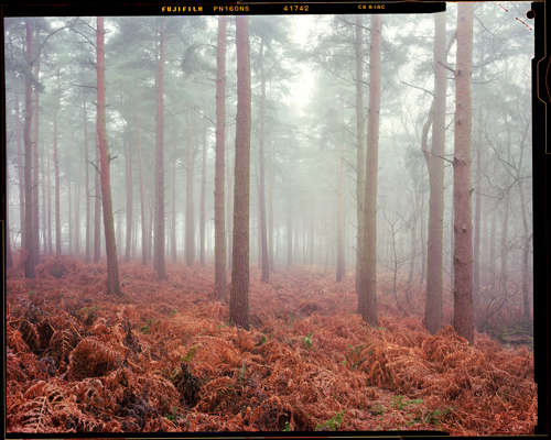 Edge Land:  calendar