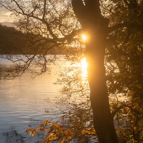 Fewston Autumn