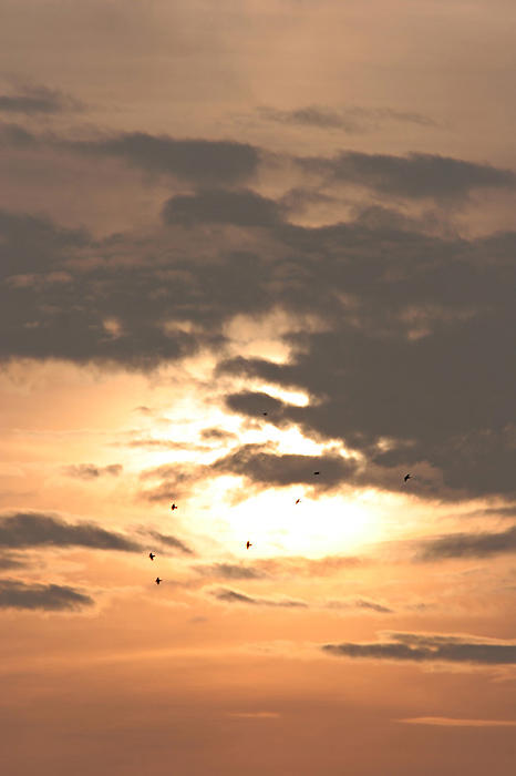 A New Dawn