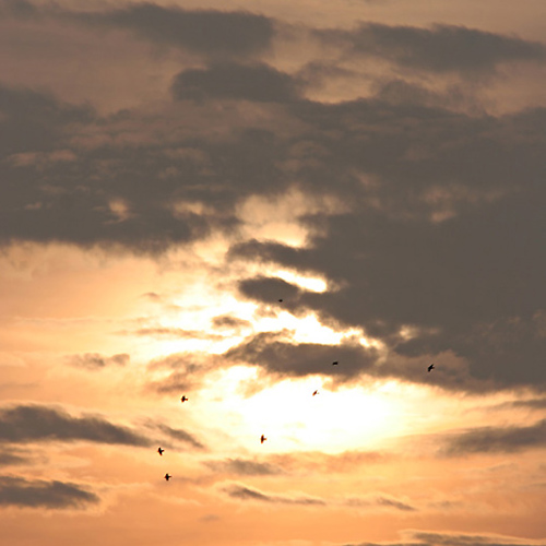 A New Dawn: A New Dawn