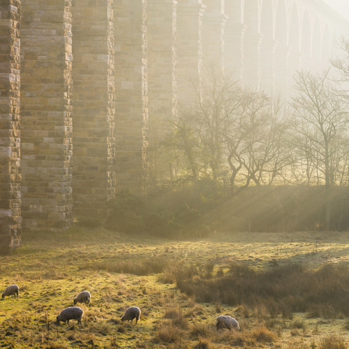 Crimple Viaduct Winter Morning: 