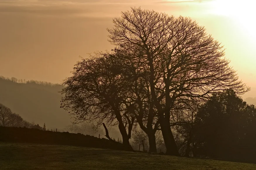 Sunrise, Timble