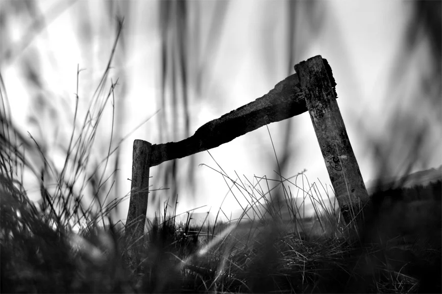 Whit Moor
