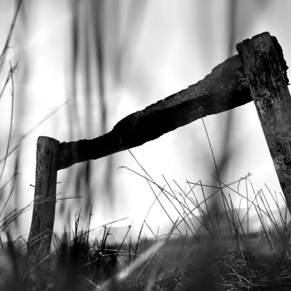 Whit Moor (1)