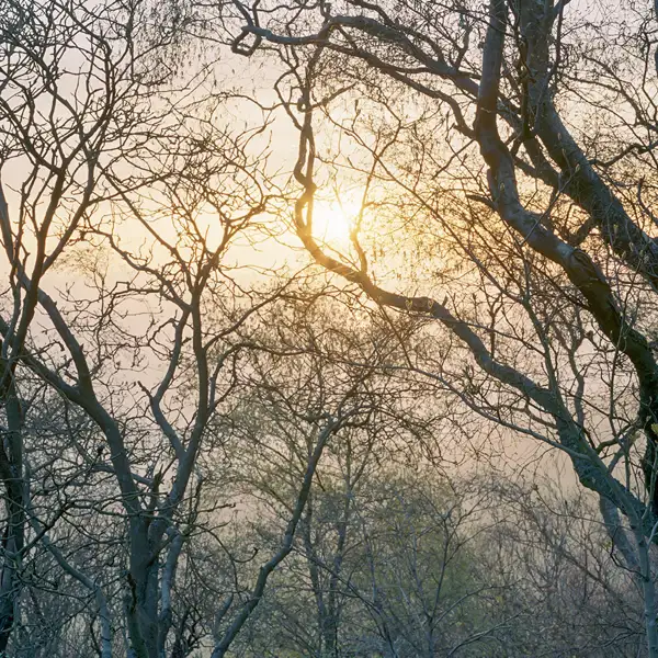 Distant sunrise