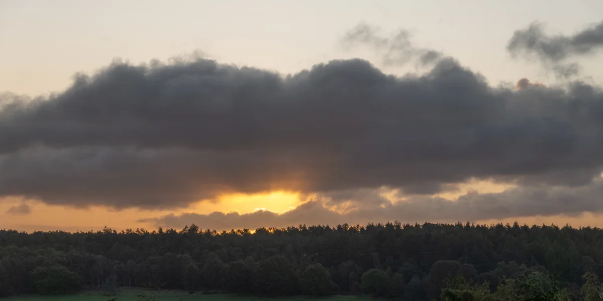 Golden sunset breaking through dark clouds over a silhouetted pine treeline in a woodland landscape.