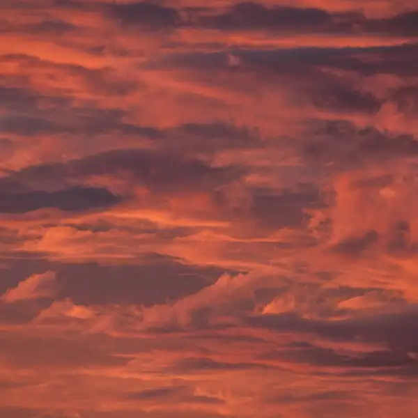 Summer Sunset Skies