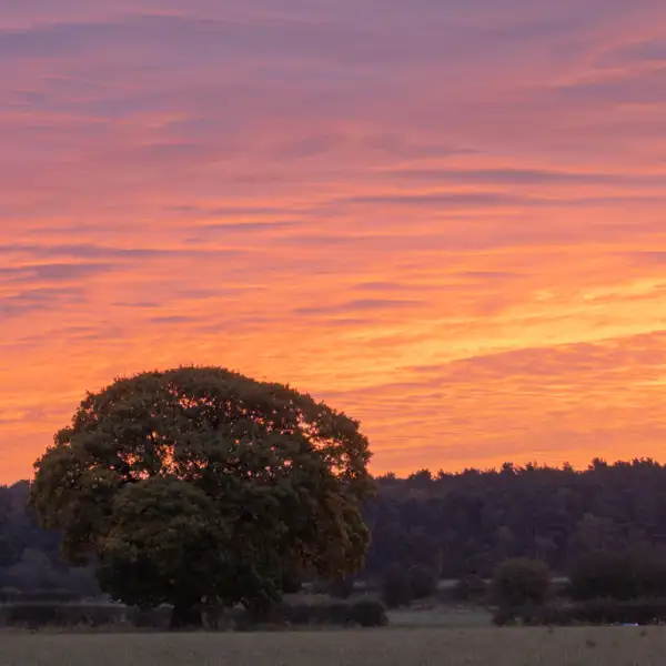 Vivid sunrise over PN18