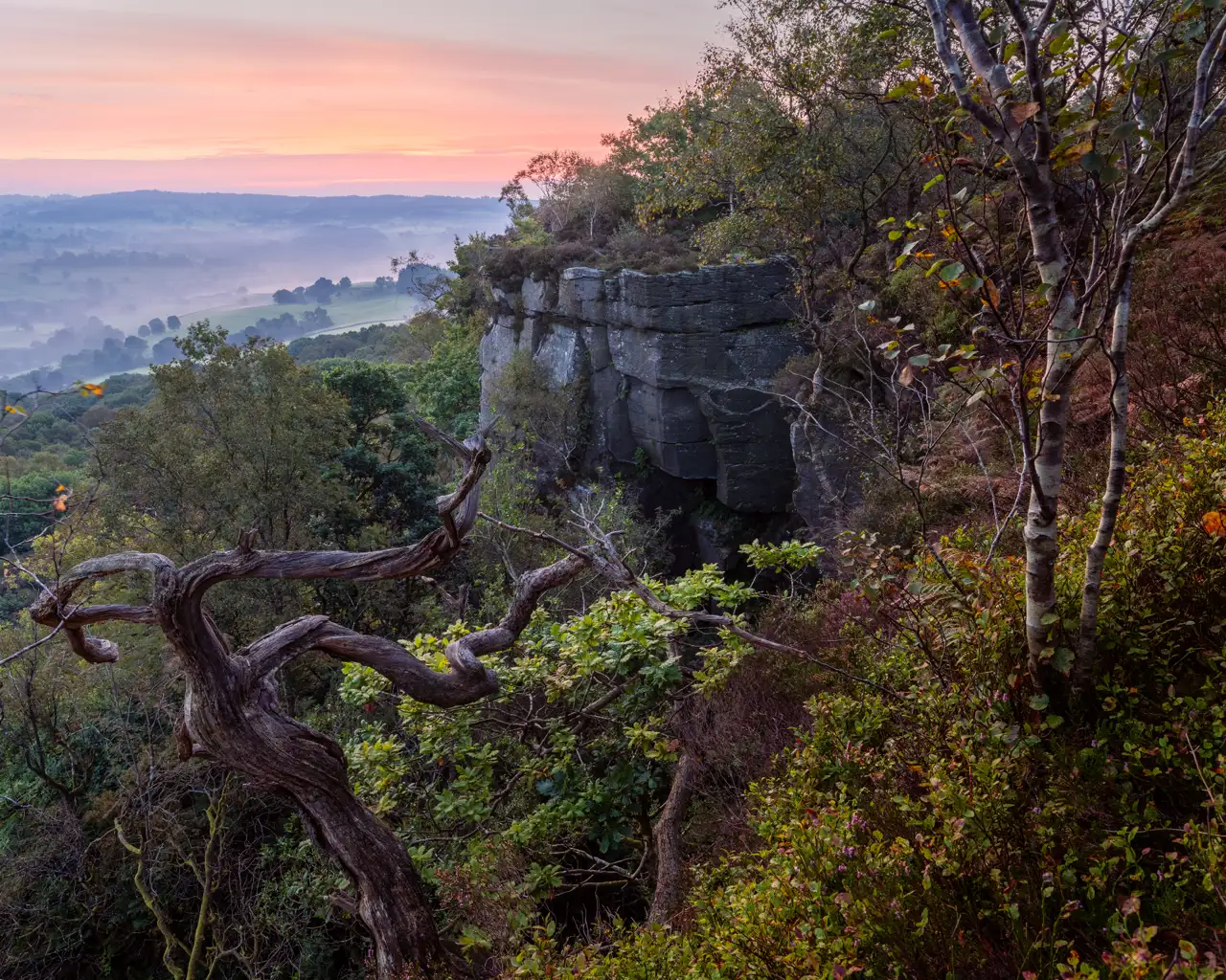 Twisted tree branches in the foreground frame a rocky cliff surrounded by lush vegetation. In the distance, a soft orange and pink sky heralds the dawn, with mist blanketing the landscape of rolling hills and trees below.