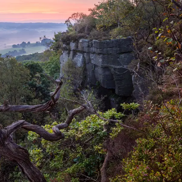 Edge of autum