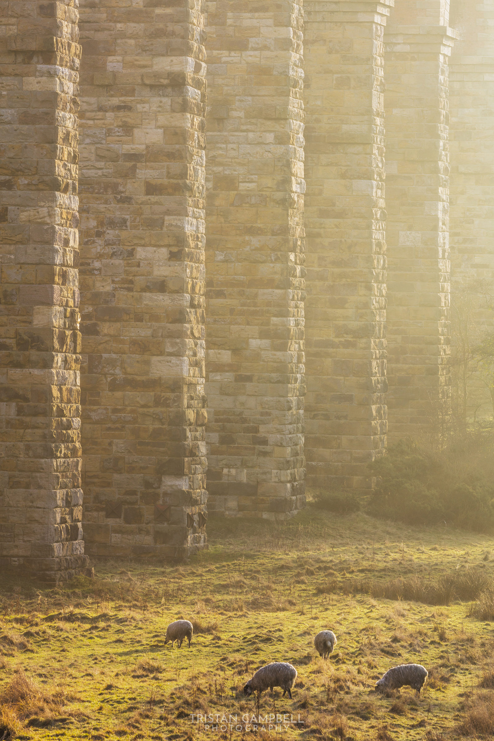 Strong side light on the Crimple Viaduct
