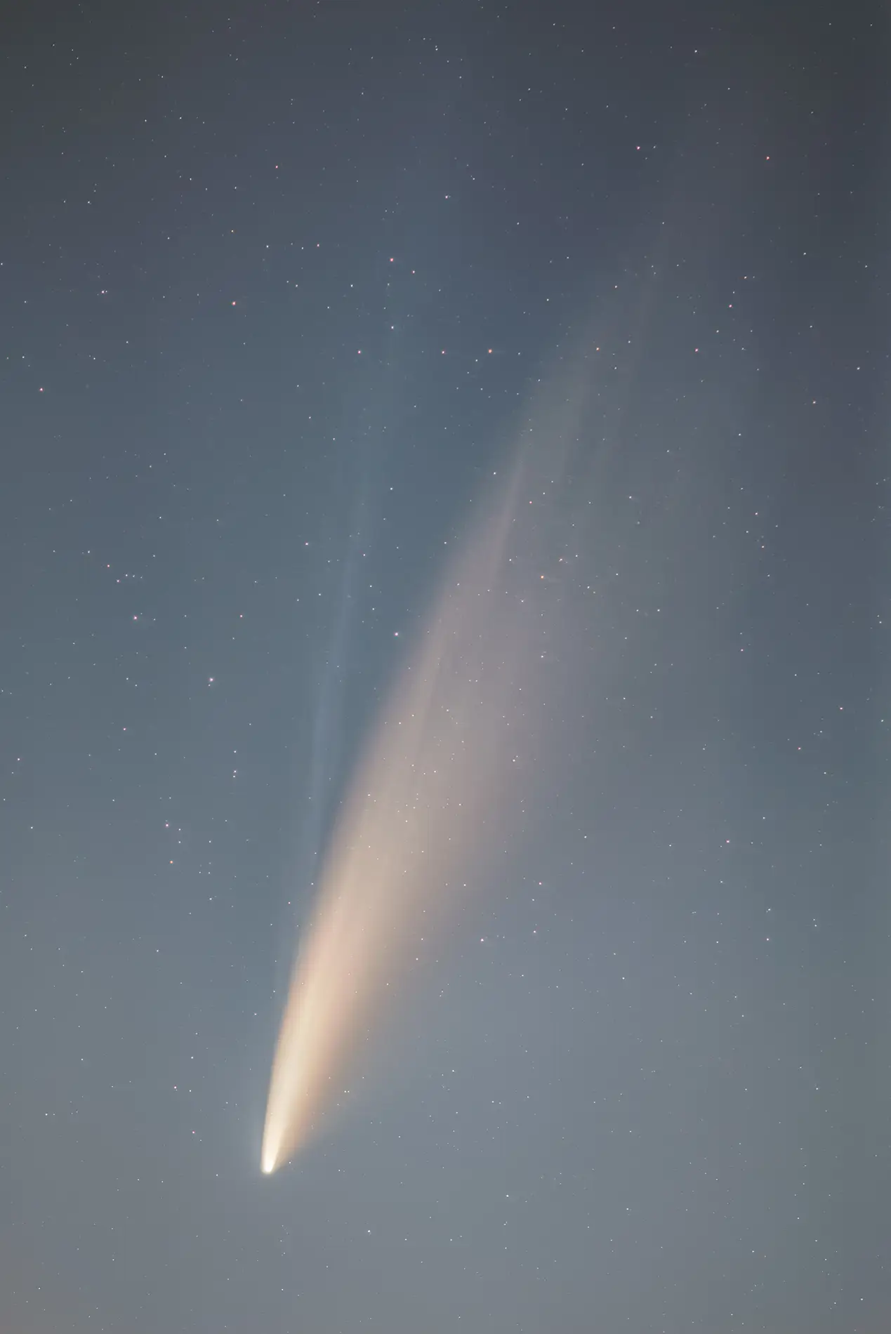 Comet Neowise with bright dust and ion tails against a star-filled twilight sky