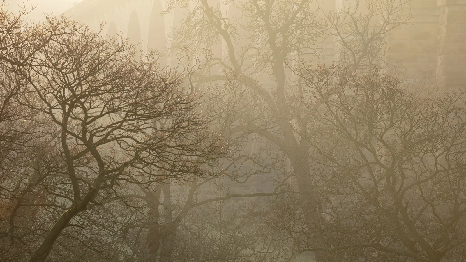 Bare trees silhouetted against a fog-shrouded stone arch bridge in warm winter dawn light.