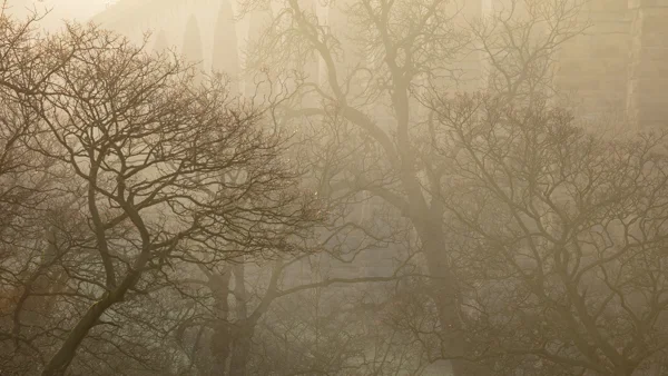 Bare trees silhouetted against a fog-shrouded stone arch bridge in warm winter dawn light.