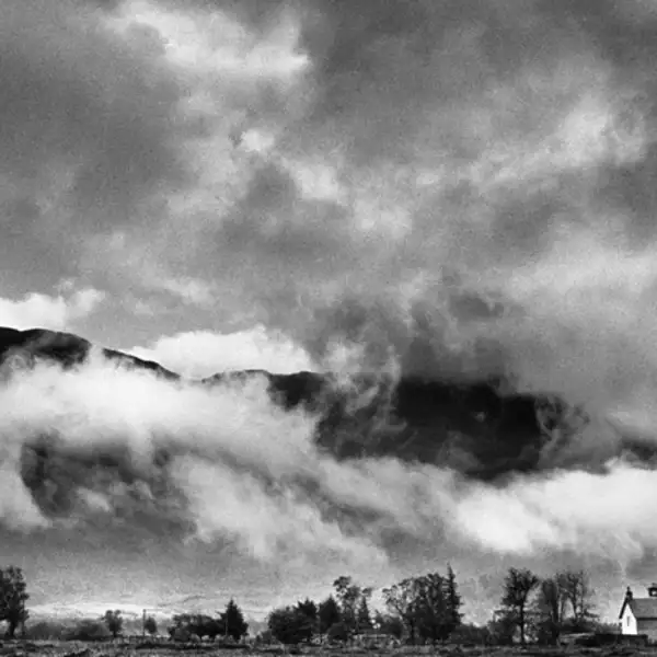 Scotch Mist