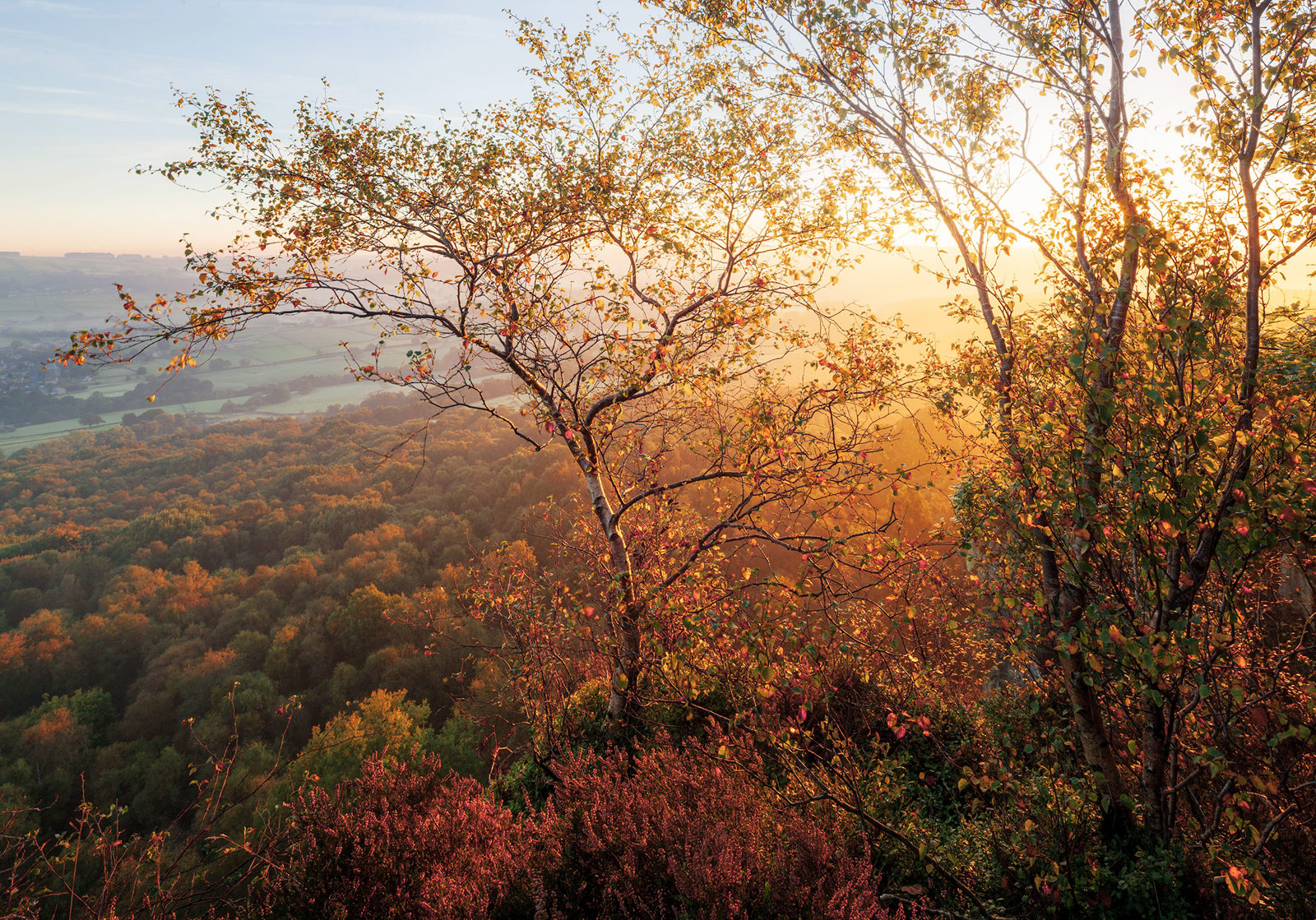 A landscape showcasing a serene forest view at sunrise or sunset. The foreground features trees with autumn leaves glowing in the warm, golden light. The sun is visible through the branches, illuminating a vast expanse of woodland below, with rolling hills in the distance under a clear blue sky.