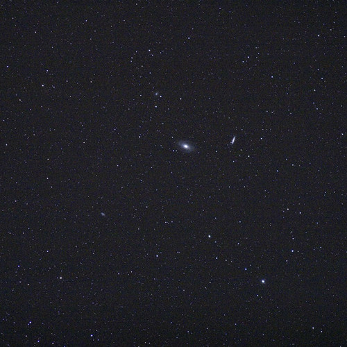 M81 and M82: M81 and M82