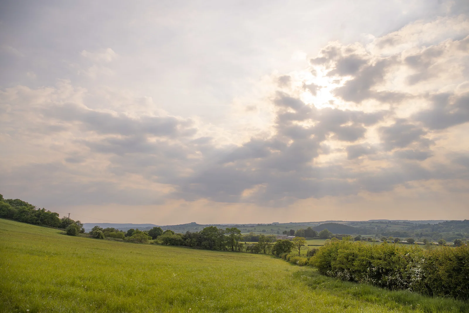 Rolling green meadow and hedgerows under a hazy sky with sunbeams breaking through cloud at golden hour