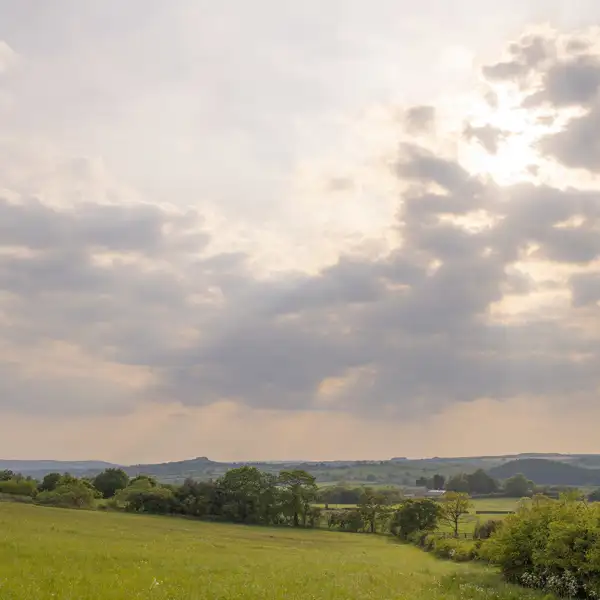 South Harrogate views