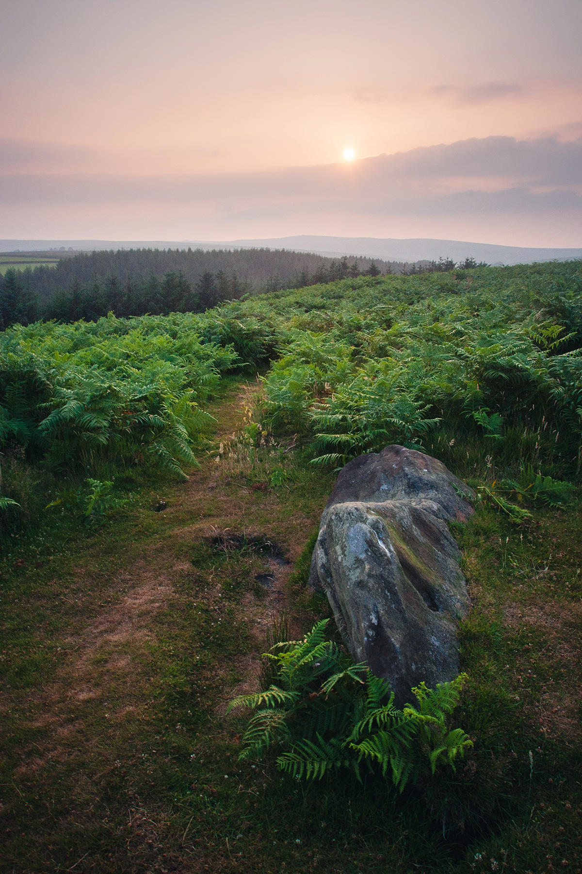 Lichen-covered granite stone on a fern-covered moorland with a hazy sunrise over distant hills.