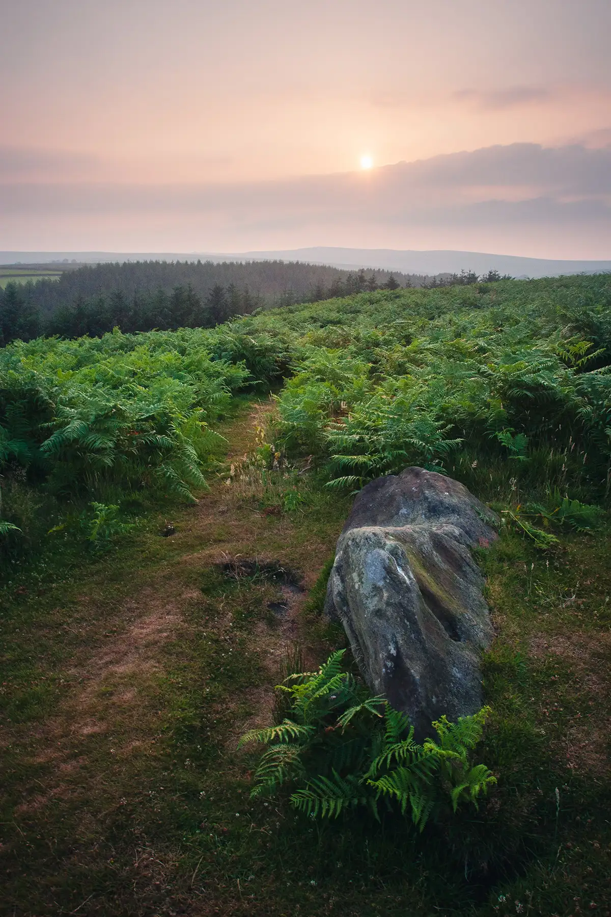 Lichen-covered granite stone on a fern-covered moorland with a hazy sunrise over distant hills.