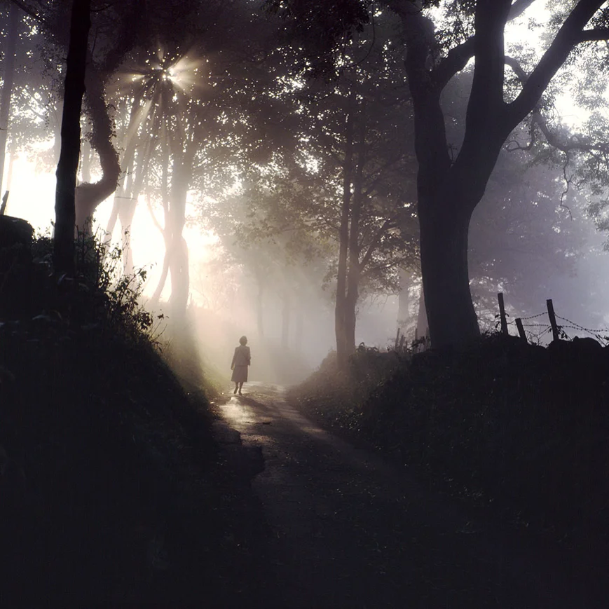 The Magic Of Mist