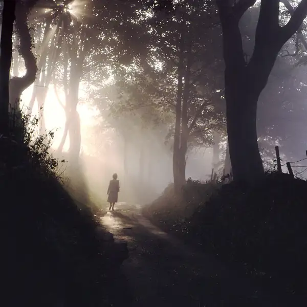 The Magic Of Mist