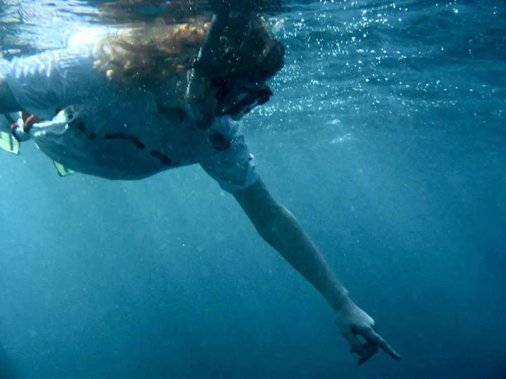 Angeline snorkling