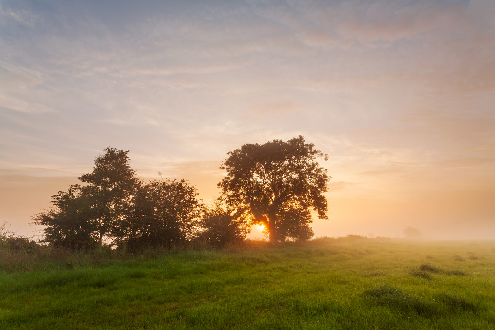 Sunrise over a misty landscape with silhouettes of trees in the foreground. Golden sunlight filters through the tree branches, illuminating a lush green field. The sky is a blend of soft oranges and blues, adding to the serene atmosphere.