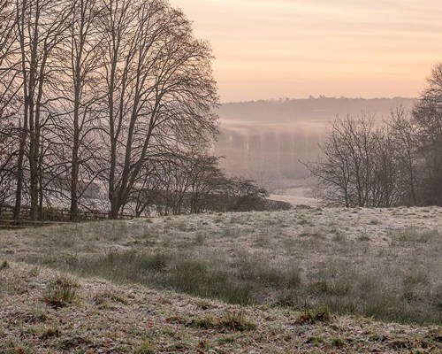 Crimple Valley Viaduct: A Marvel of Engineering and Beauty: A layer of fog passing over the Crimple Viaduct at dawn a close up of a dry grass field