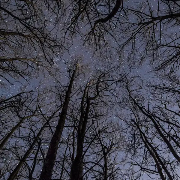 Jewels in the sky