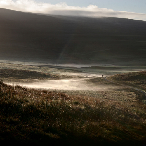 Early morning Mist, Penyghent: Early morning Mist, Penyghent